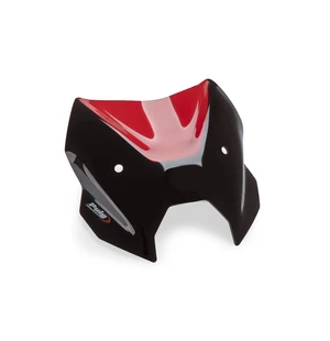 Puig Cbris. N.G.Sport Bmw R1300R 25' C/Red kuva