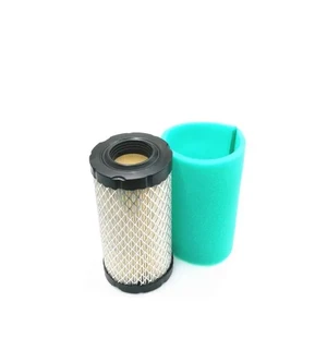 Rotary Ilmansuodatin - Esisuodatin B&S 17.5 & 20hv Intek kuva