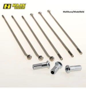 Haan 5x Spoke Silver for Haan hub Rear 19" kuva