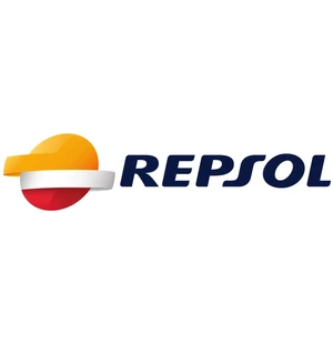 Repsol Smarter V-Twin Custom 4T 20W-50 60L kuva