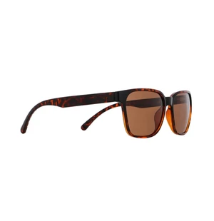 Spect Red Bull Eliot Sunglasses Shiny Havana w Brown lens kuva