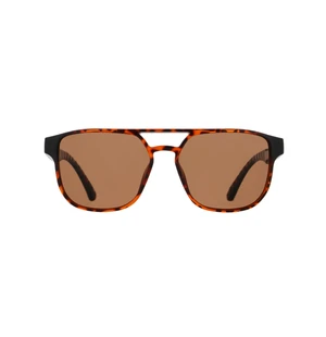 Spect Red Bull Elroy Sunglasses Shiny Havana w Brown lens kuva