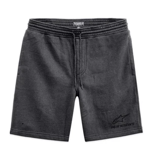 Alpinestars Corpo Shorts Harmaa kuva