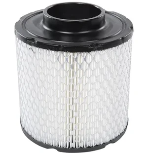 Kimpex Ilmasuodatin Polaris kuva