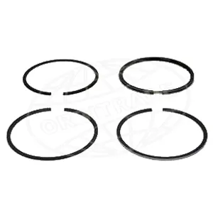 Orbitrade ring kit/1piston 95.25mm kuva
