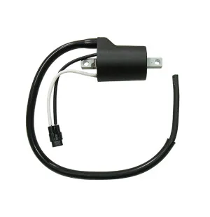 Sno-X Sytytyspuola Polaris kuva