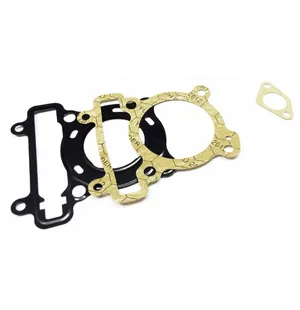 Airsal Packingssats (301-1040) image