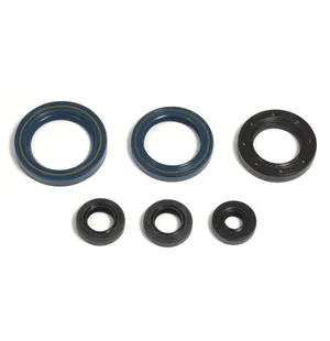 Athena Öljytiivistesarja KTM EXC 125 95-97 SX 125 95-97 kuva