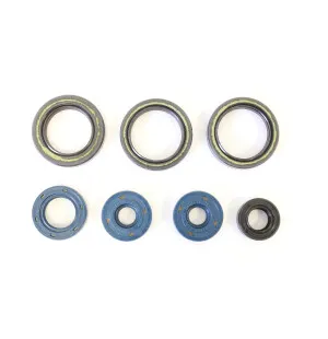 Athena Öljytiivistesarja Aprilia MX 125 04-06 RS 125 95-10 kuva