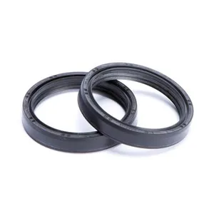 KYB Front Fork Oil Seals (Pair) 48mm WP -NOK kuva