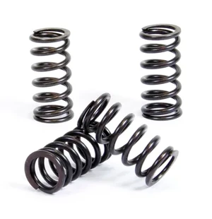 ProX Clutch Spring Kit XR600R '85-01 + XR650L '93-17 kuva