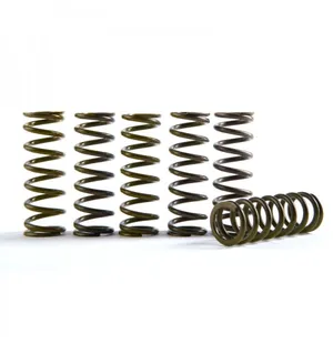 Hinson Clutch Springs CRF450R (7/8PLATE) 17- CRF450RX kuva