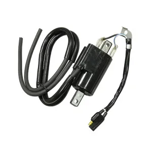 Sno-X Sytytyspuola Ski-Doo kuva