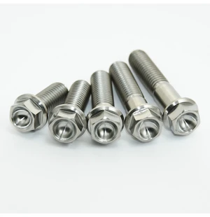 Scar 1 x Titanium hex head flange bolt M8 x 25 - titanium Gr5-Ti kuva