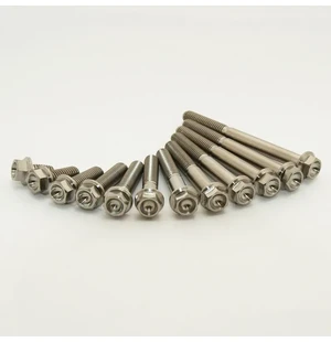 Scar 2 x Titanium hex head flange bolt M6 x 25 - titanium Gr5-Ti kuva