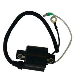 Cdi Elec. Ignition Coil 2 Cyl. Yamaha Enduro kuva