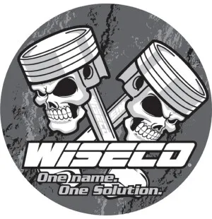 Wiseco Nylon Soft Hone Brush 45.00-57.00mm kuva
