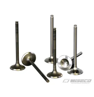 Wiseco Exhaust Valve Steel YFM700 Raptor '06-21+ Grizz/Rhino kuva