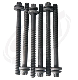 SBT Bult kit Sea Doo image