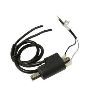 Sno-X Sytytyspuola Polaris kuva