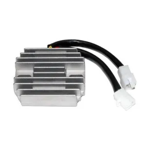 Electrosport Latauss./Tasasuunt. Suzuki LS/SV/DL kuva