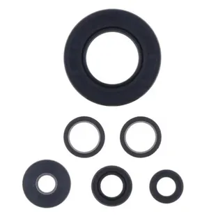 ATHENA Stefasarja motor Z 750 / ABS kuva