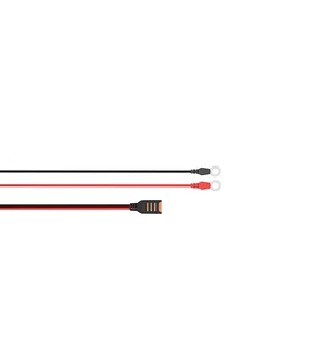 CTEK Comfort Connect M10 kuva
