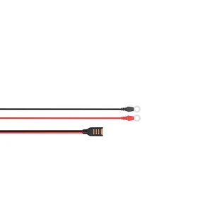 CTEK Comfort Connect M6 kuva