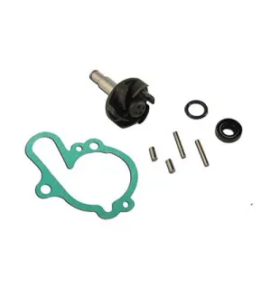 Vesipumpun korjaussarja, Minarelli AM6 kuva