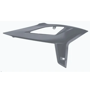 Polisport radiator scoops Beta RR (20->) (5) kuva