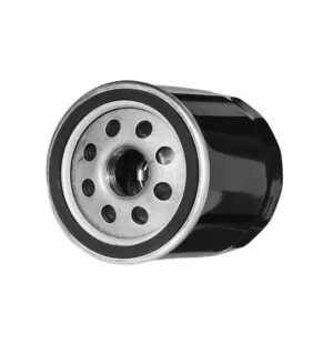 Tract Öljysuodatin, Kawasaki 420, FH601V, SFH451V, FC 400, others kuva